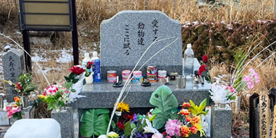 埋葬する共同墓地について