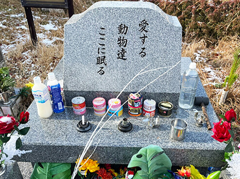 霊園埋葬