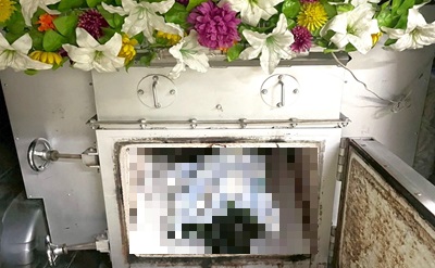 京都府伏見区で優しく人懐っこかった愛猫を心を込めてお見送りいたしました