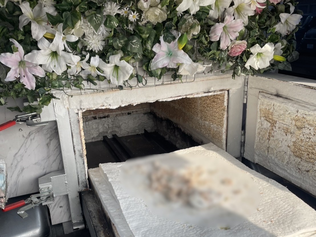 京都市で人懐っこく甘えんぼだったワンちゃんをお見送りしました